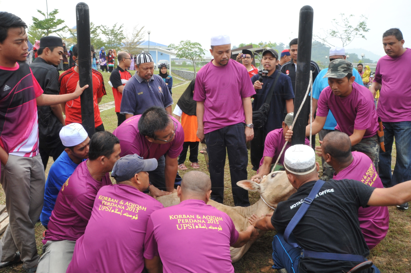 PRO15 150 KORBAN HAS 6700